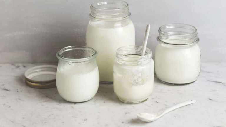 tej mikrobiológiai vizsgálata